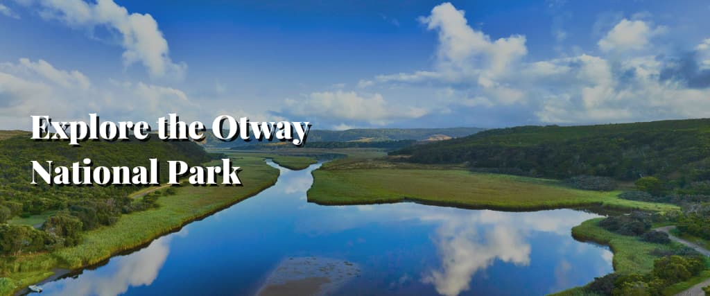 Explore the Otway National Park