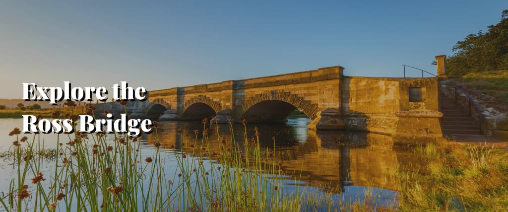 Explore the Ross Bridge