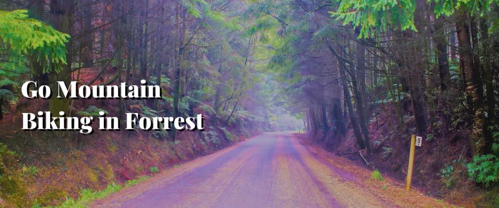 Go Mountain Biking in Forrest