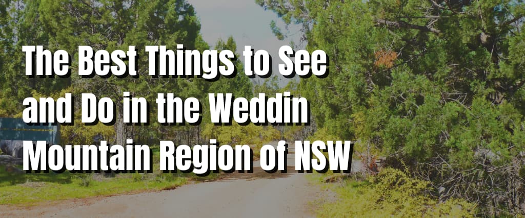 The Best Things to See and Do in the Weddin Mountain Region of NSW