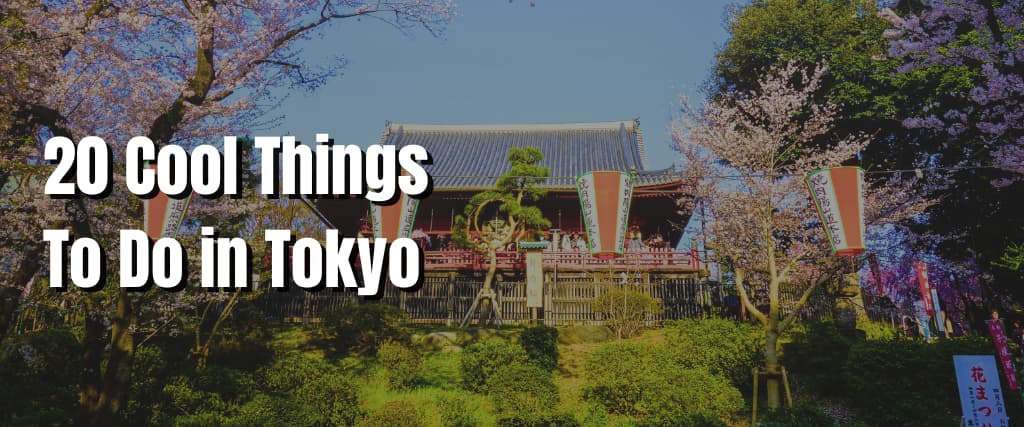 20 Cool Things To Do in Tokyo